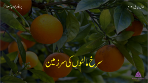 malto ki sarzameen